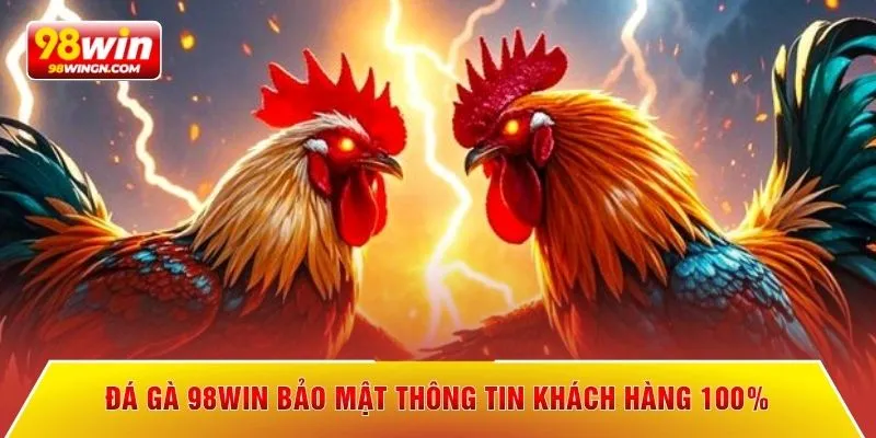 Đá gà 98win bảo mật thông tin khách hàng 100%