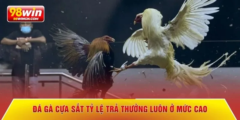 Đá gà cựa sắt tỷ lệ trả thưởng luôn ở mức cao