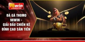 Đá gà thomo 98win - Giải đấu chiến kê đỉnh cao săn tiền 
