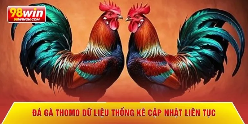 Đá gà Thomo dữ liệu thống kê cập nhật liên tục