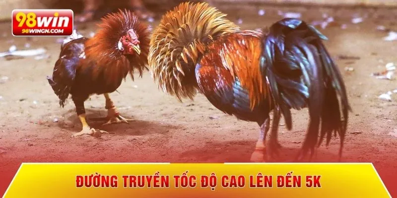 Đường truyền tốc độ cao lên đến 5k