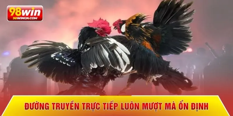 Đường truyền trực tiếp luôn mượt mà ổn định