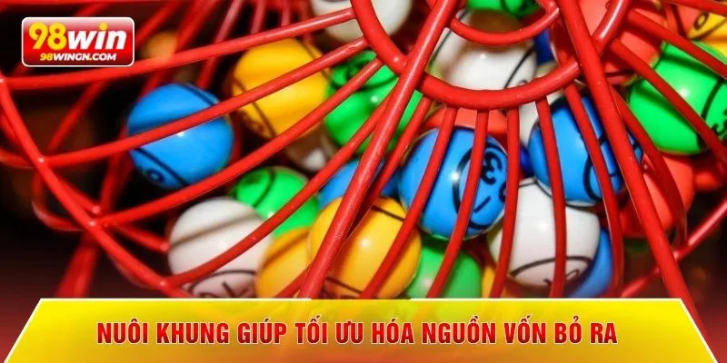 Nuôi khung giúp tối ưu hóa nguồn vốn bỏ ra
