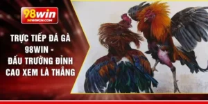 Trực tiếp đá gà 98win - Đấu trường đỉnh cao xem là thắng