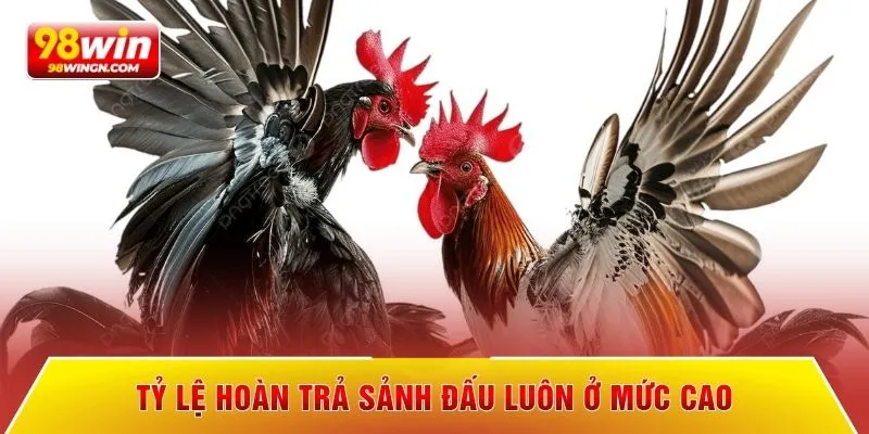 Tỷ lệ hoàn trả sảnh đấu luôn ở mức cao