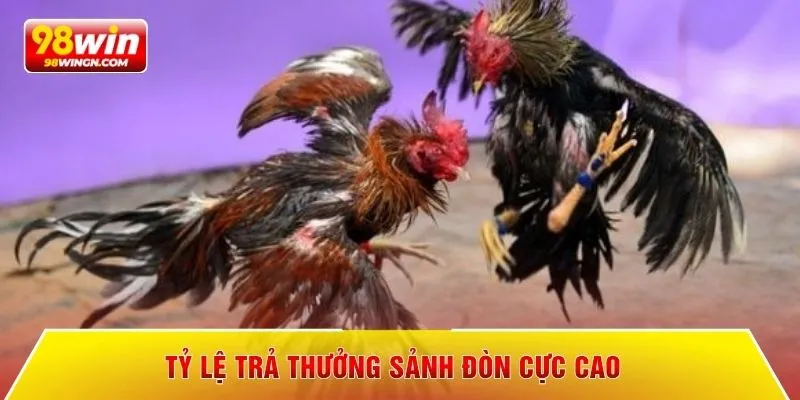 Tỷ lệ trả thưởng sảnh đòn cực cao